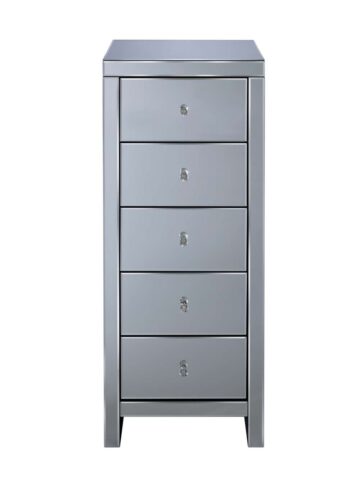 Silver Maysky 5 Drawer Narrow Chest | Mirrored