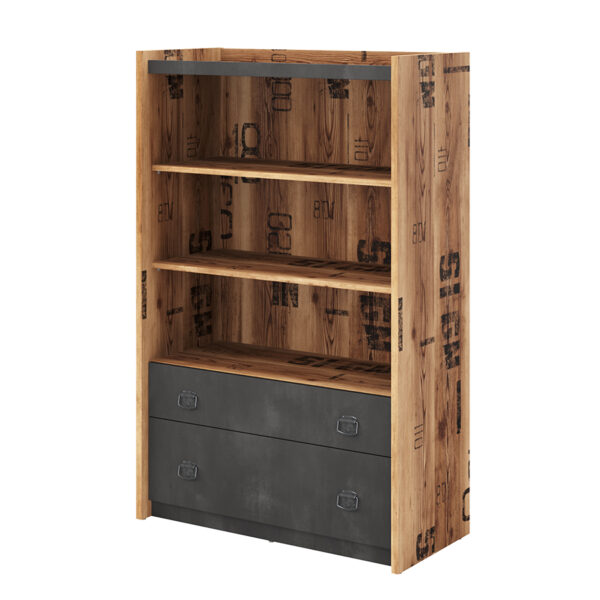 Prague Pine Bookcase | Canyon Alpine Spruce | Raw Steel