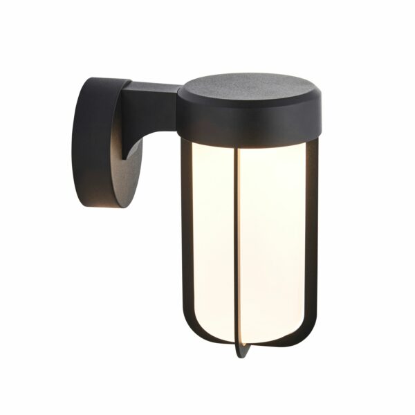 Alva Outdoor Wall Light | Frosted Black