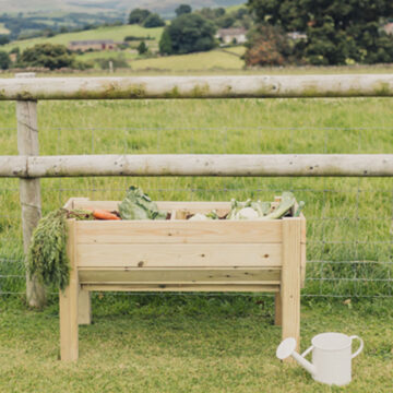 Timber Raised Veg Trug – 100cm