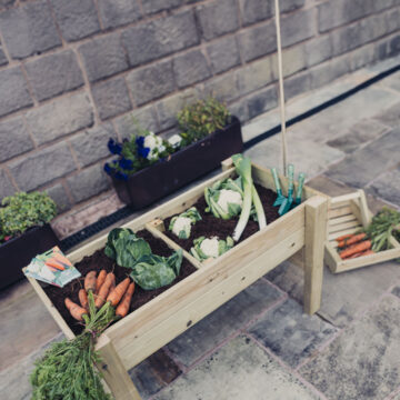 Timber Raised Veg Trug – 100cm