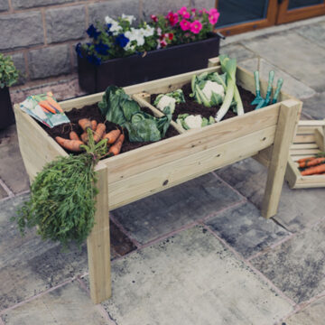 Timber Raised Veg Trug – 100cm