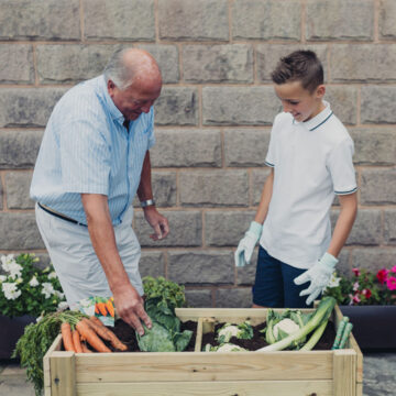 Timber Raised Veg Trug – 100cm