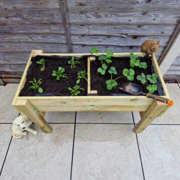 Timber Raised Veg Trug – 150cm