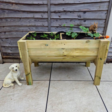 Timber Raised Veg Trug – 180cm