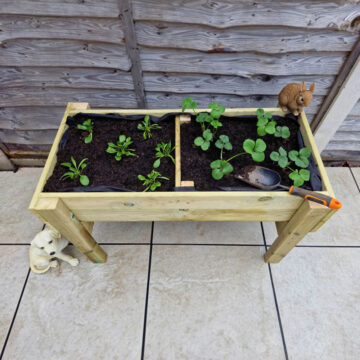 Timber Raised Veg Trug – 180cm