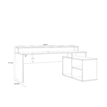 Tezaar Black & White Gaming Desk | LED Lights