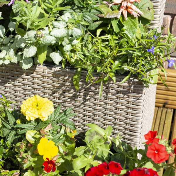 Oakworld Alfresco Natural Tier Rattan Planter | Fully Assembled