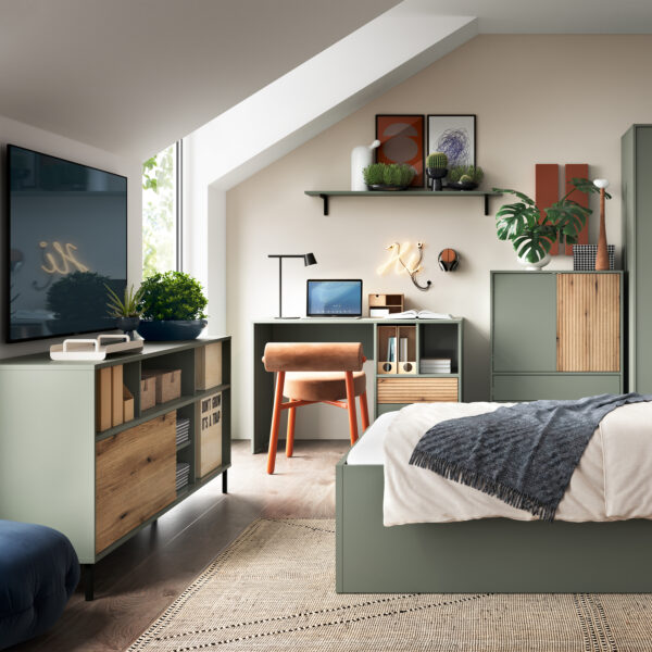 Ayr Desk 2 Drawer in Green/Oak | Assembly Required