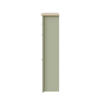 Fife Green 2 Door Shoe Cabinet with Drawer
