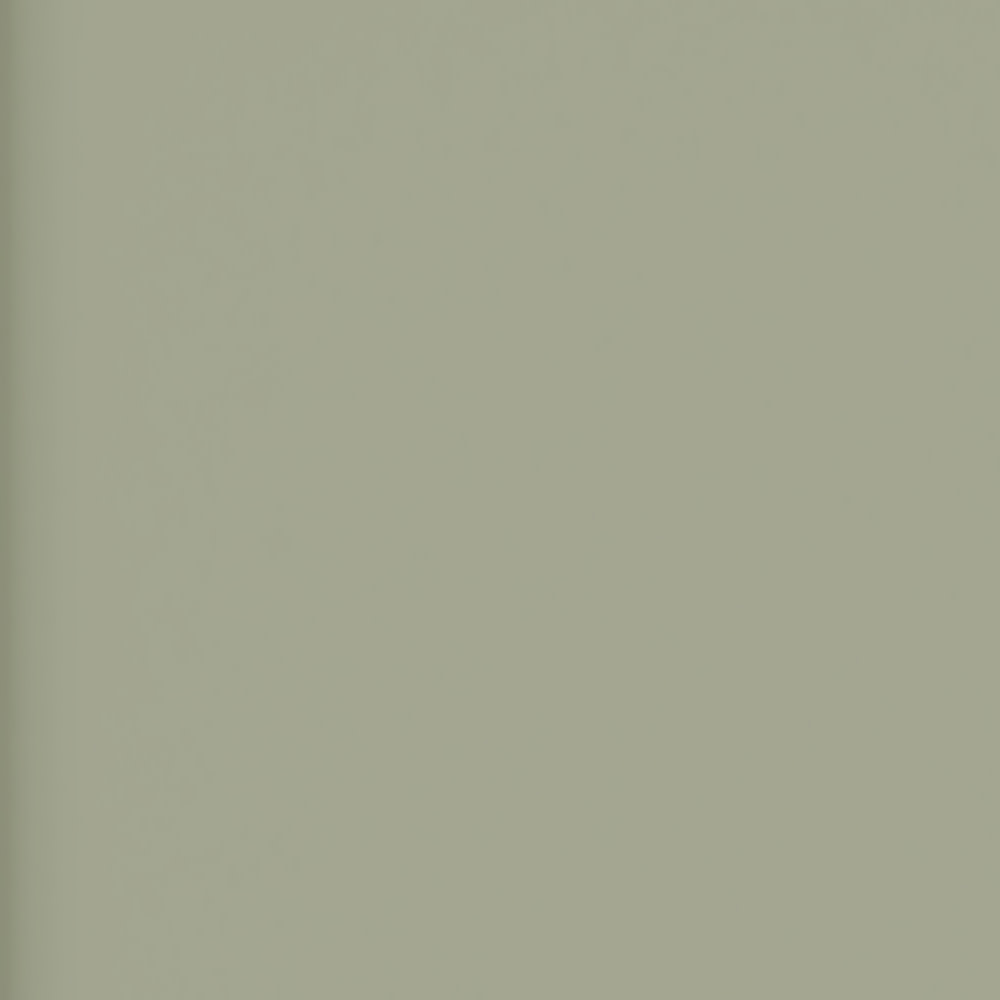 Fife Green 2 Door Shoe Cabinet with Drawer