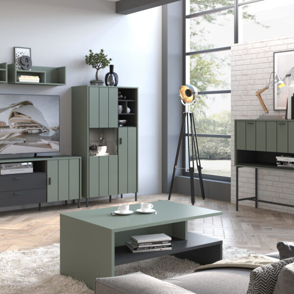 Rivendell 2 Door Display Cabinet in Green/Grey | Assembly Required