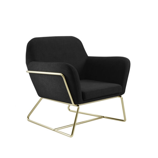 Lesley Armchair Black Velvet / Brushed Gold | Assembly Required