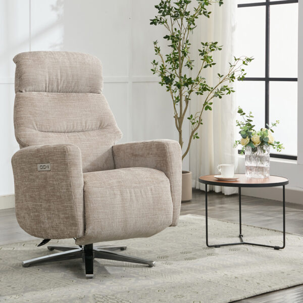 Monet TV Chair - Fossil | Assembly Required