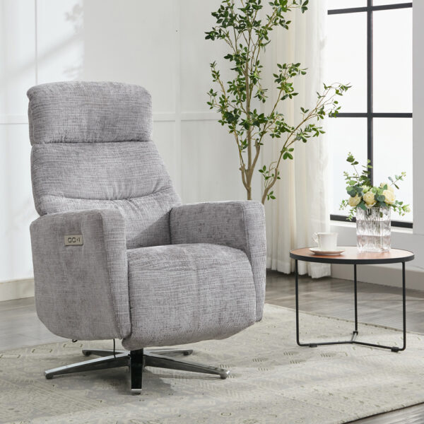 Monet TV Chair - Ash | Assembly Required