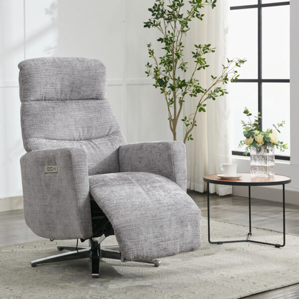 Monet TV Chair - Ash | Assembly Required