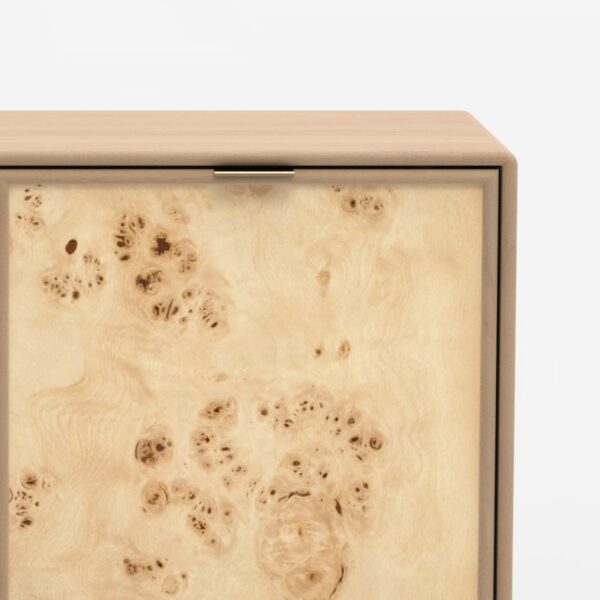 Metro Burl Two Door Cabinet | Assembly Required