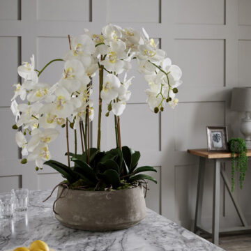 Large White Orchid In Stone Pot | Assembled