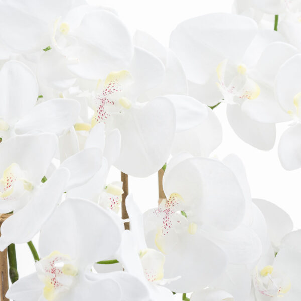 Large White Tall Orchid In Glass Pot | Fully Assembled
