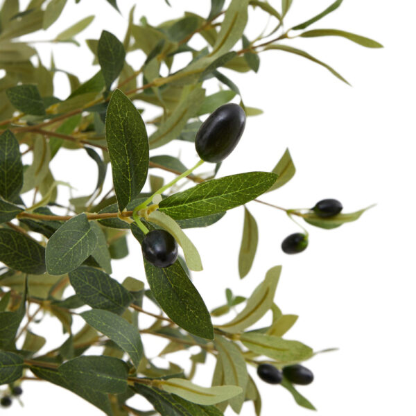 Calabria Olive Tree | Fully Assembled