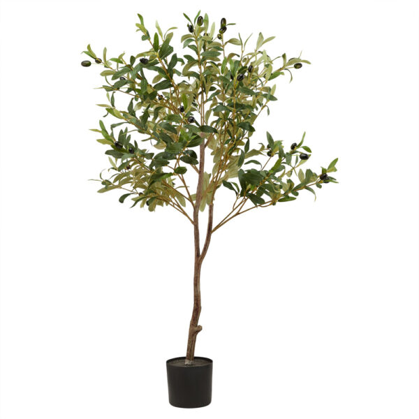 Calabria Small Olive Tree | Fully Assembled
