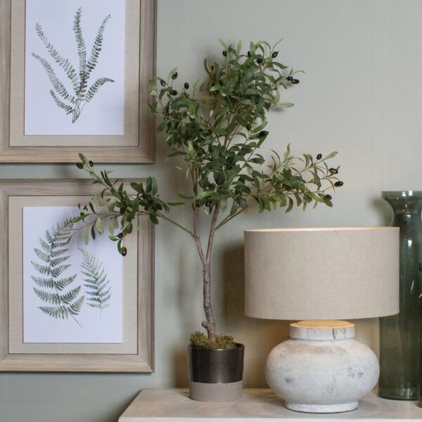 Calabria Small Olive Tree | Fully Assembled