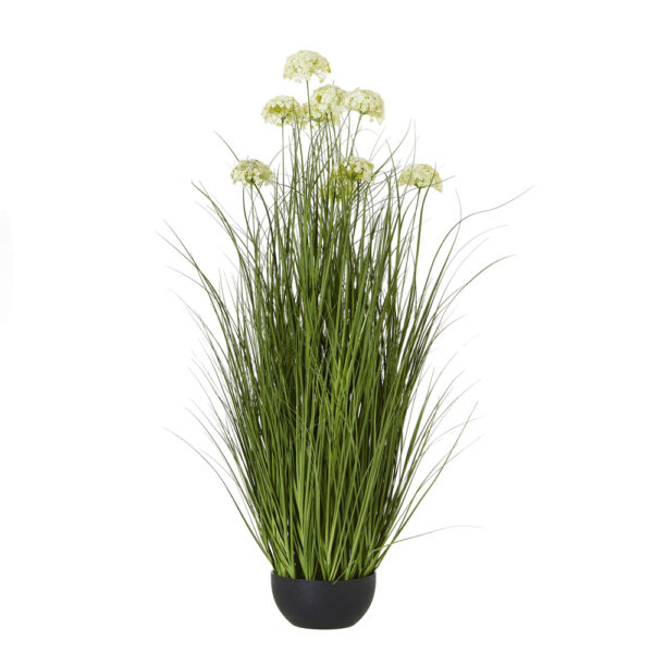 White Allium Plant In Pot | Fully Assembled