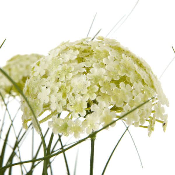 White Allium Plant In Pot | Fully Assembled