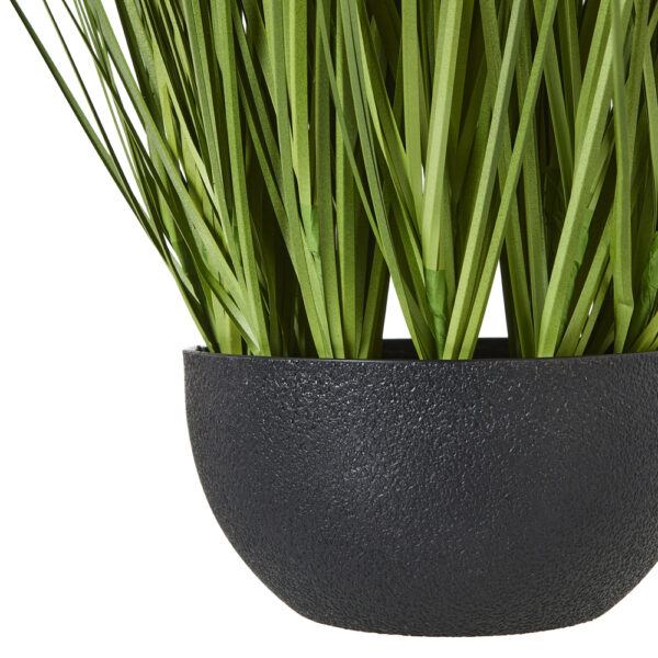 White Allium Plant In Pot | Fully Assembled
