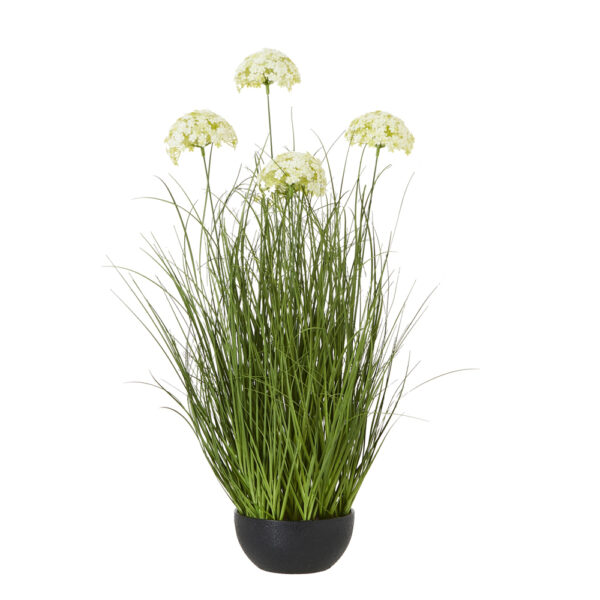 Large White Allium Plant In Pot | Fully Assembled