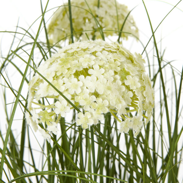 Large White Allium Plant In Pot | Fully Assembled