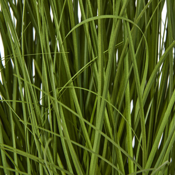 Large White Allium Plant In Pot | Fully Assembled