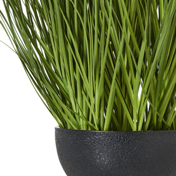 Large White Allium Plant In Pot | Fully Assembled