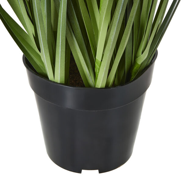 Large Purple Agapanthus Plant In Pot | Fully Assembled