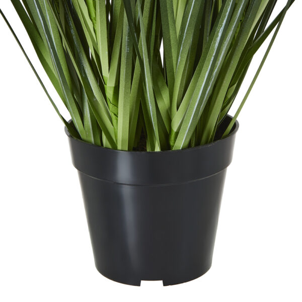 Large White Agapanthus Plant In Pot | Fully Assembled