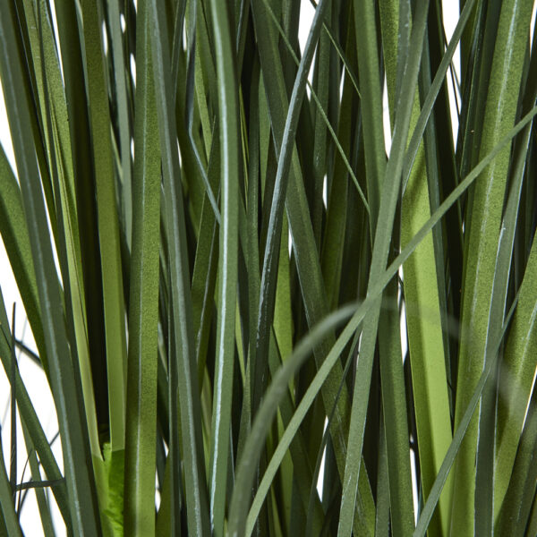 Large Blue Agapanthus Plant In Pot | Fully Assembled