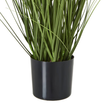 White Agapanthus Plant In Pot | Assembled