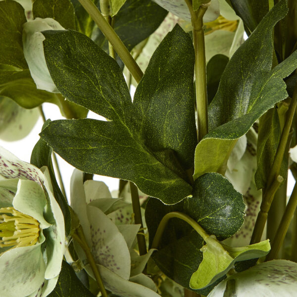 Large Green Hellebore in Taupe Pot | Fully Assembled