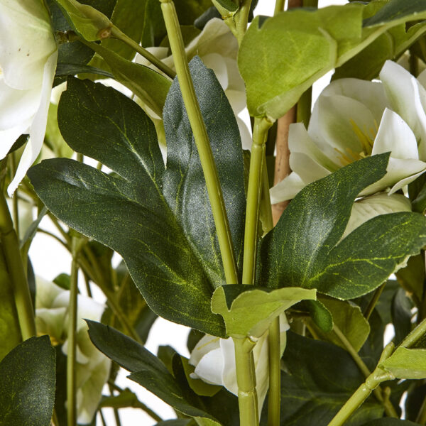 Large White Hellebore In Grey Pot | Fully Assembled