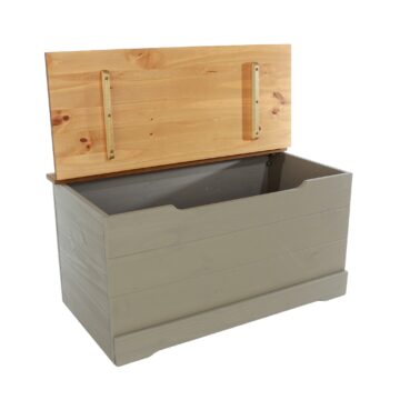 Azusa Grey Storage Trunk
