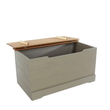 Azusa Grey Storage Trunk
