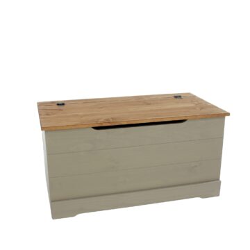 Azusa Grey Storage Trunk