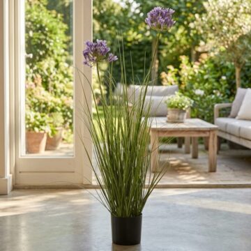 Purple Agapanthus Plant In Pot | Assembled