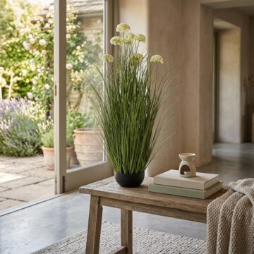 White Allium Plant In Pot | Assembled