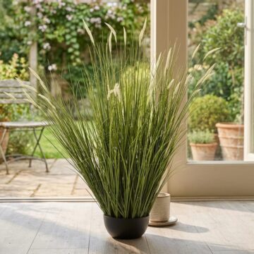 Large Onion Grass Plant In Pot | Assembled