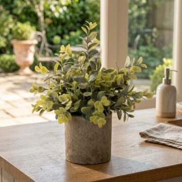 Eucalyptus Plant In Stone Effect Pot | Assembled